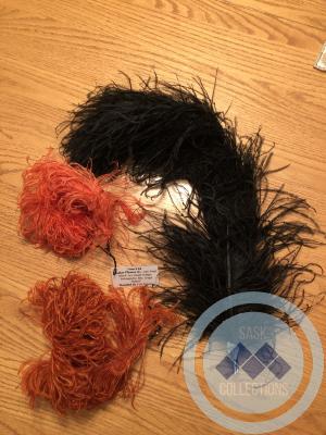 Feather Plumes (3)