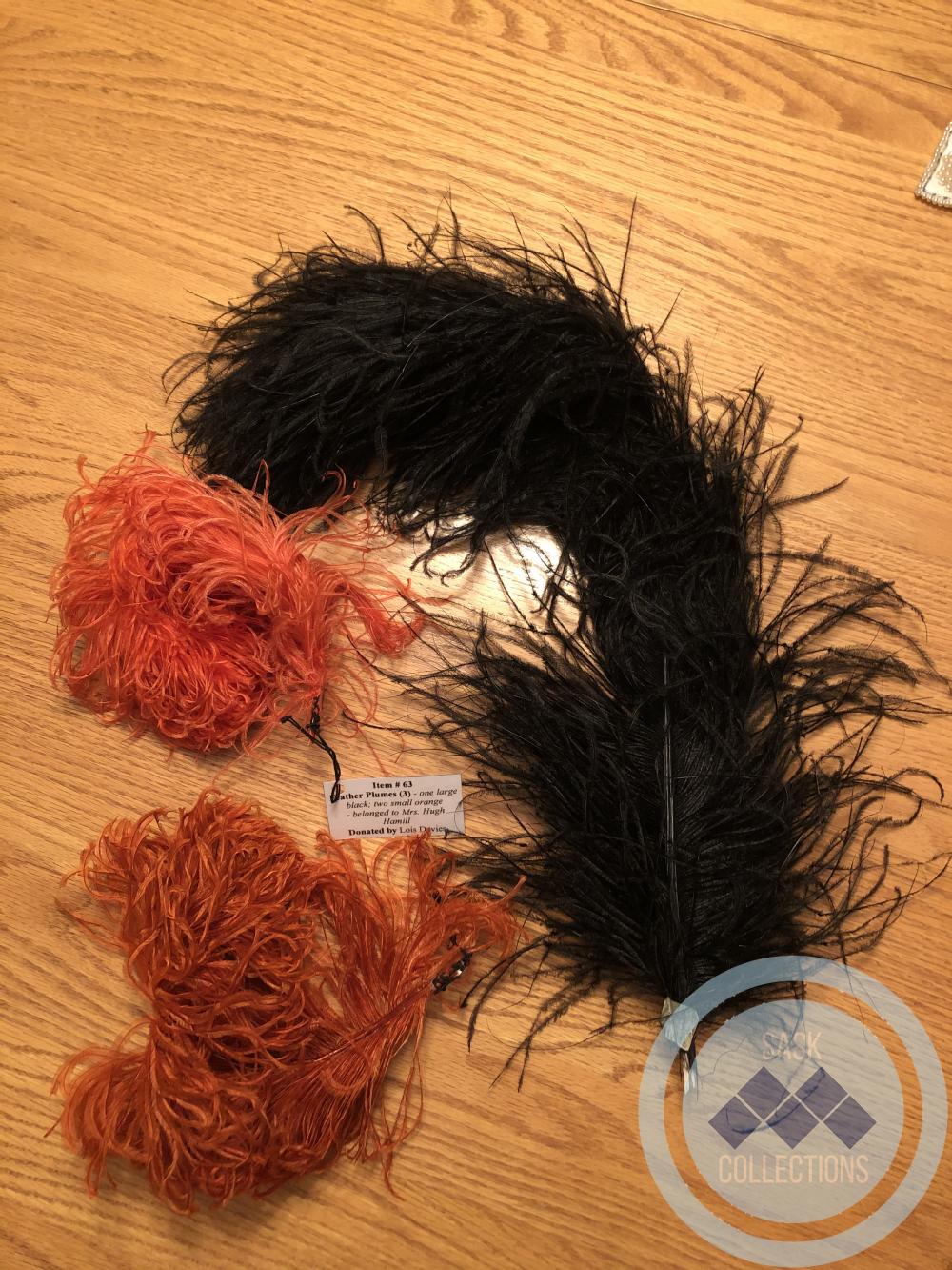 Feather Plumes (3)