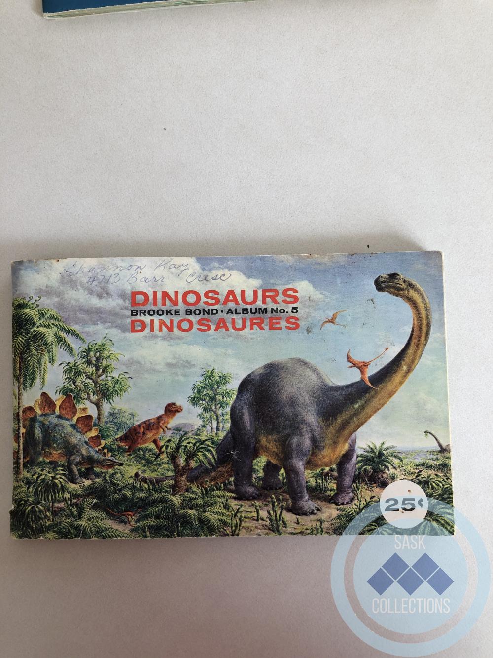 Picture Card Album - Dinosaurs