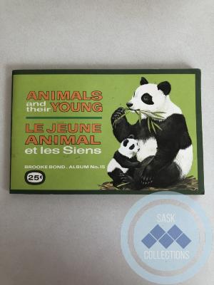 Picture Card Album - Animals and Their Young