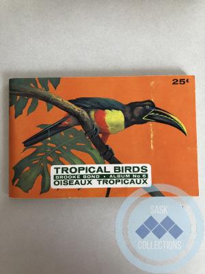 Picture Card Album - Tropical Birds