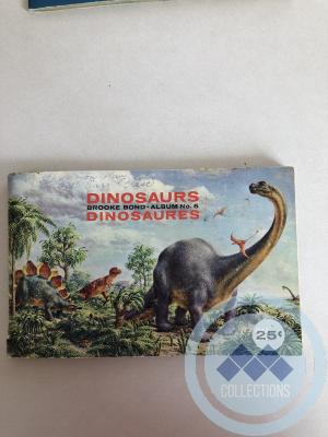 Picture Card Album - Dinosaurs
